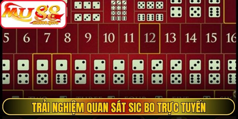 Trải nghiệm quan sát Sic Bo trực tuyến 