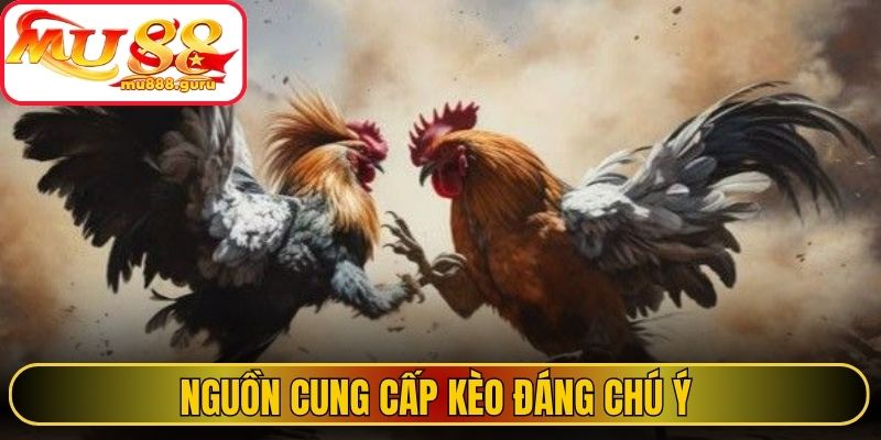Nguồn cung cấp kèo đáng chú ý